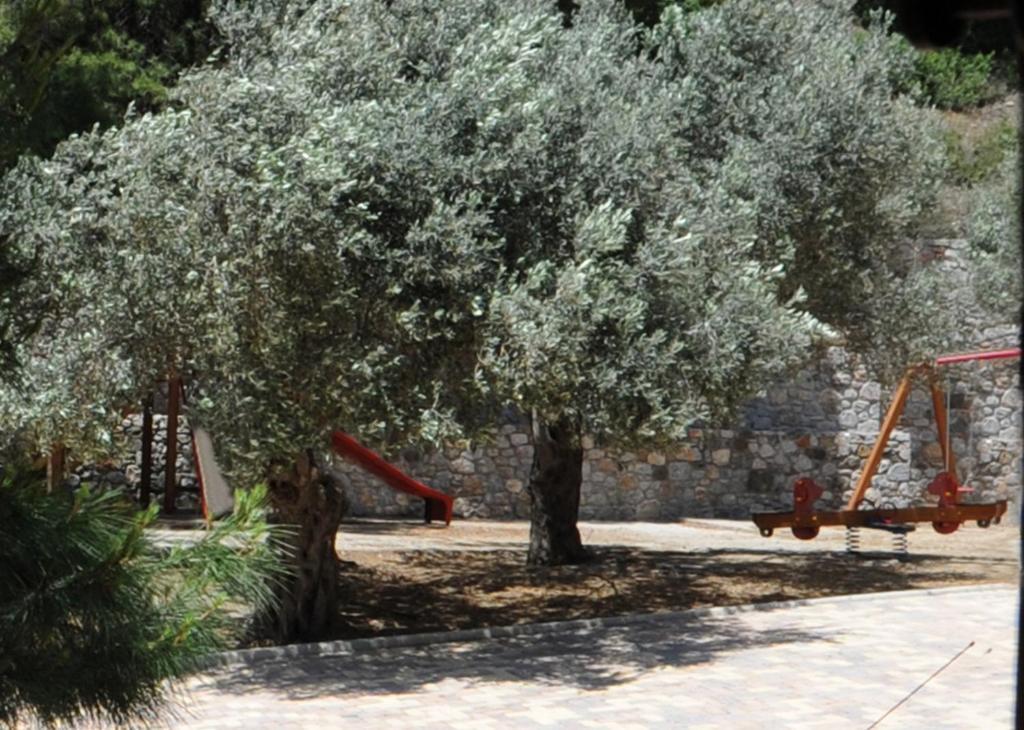 Kaminos Resort Límni المظهر الخارجي الصورة